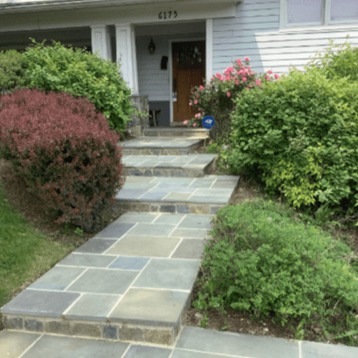 A stone pathway leading up to a house with lush greenery and flowering shrubs on either side.
