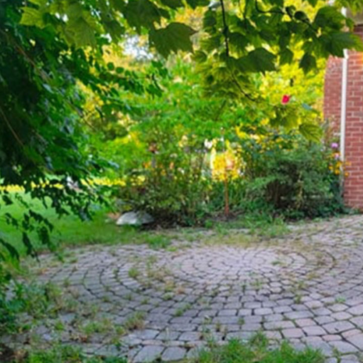 A cobblestone path leading to a lush garden with green foliage overhead and a brick wall on the right.