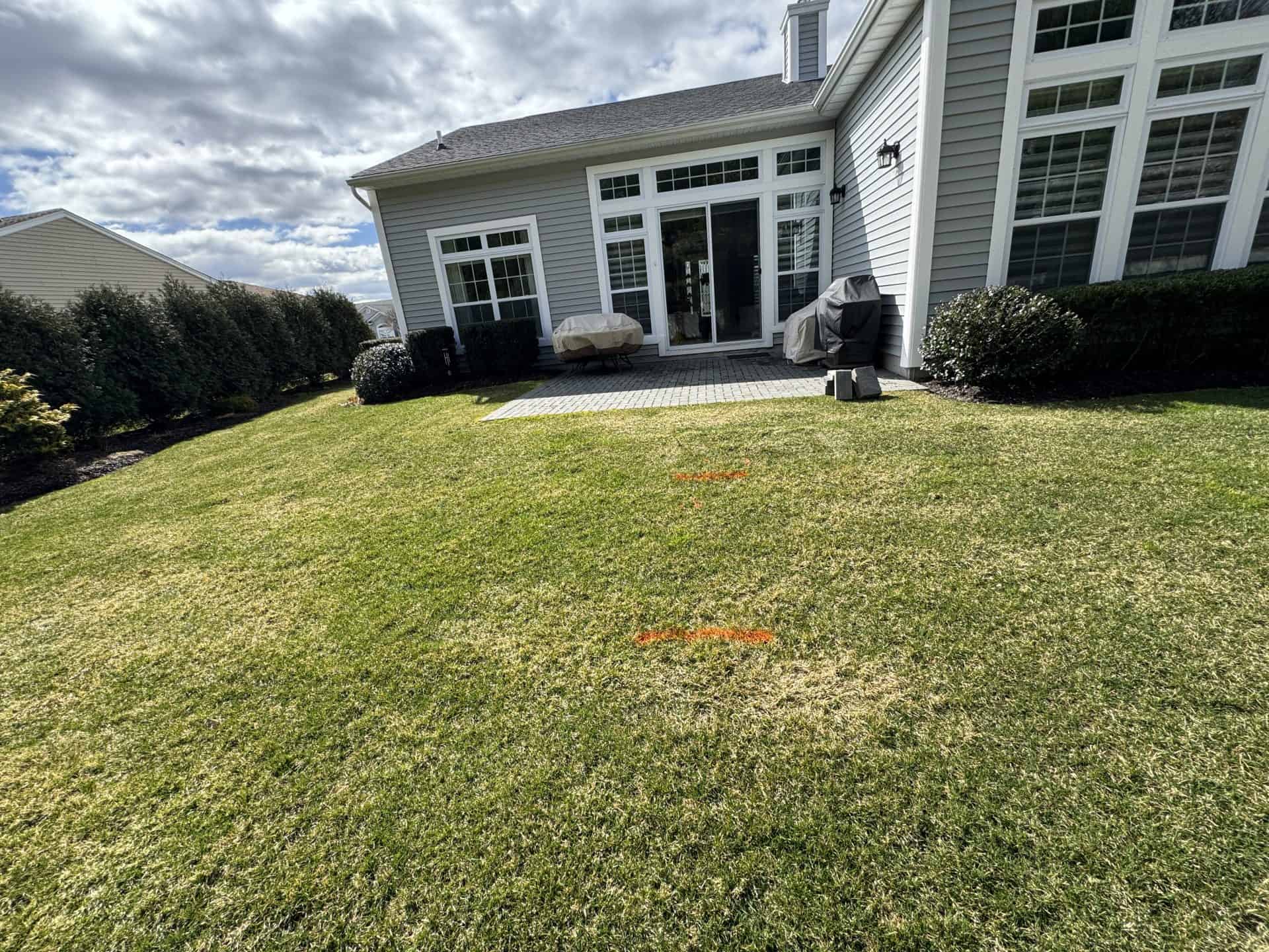 Backyard view of a gray house with large windows and a patio. The lawn has two patches of orange marking paint. Overcast sky above.